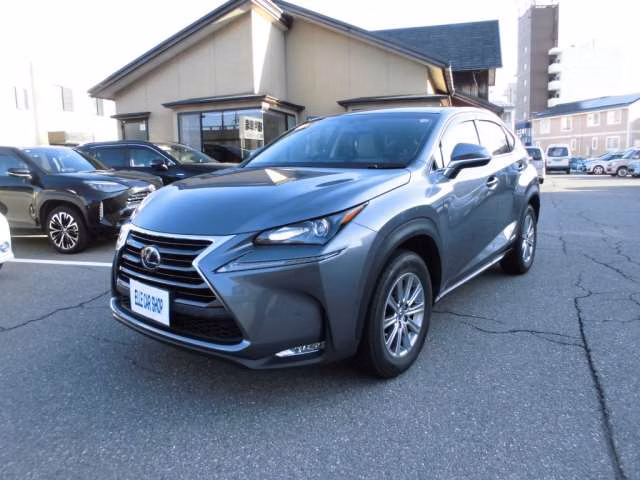 LEXUS NX300
