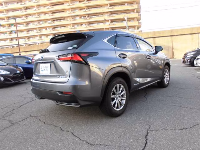 LEXUS NX300
