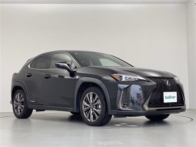 LEXUS UX250H