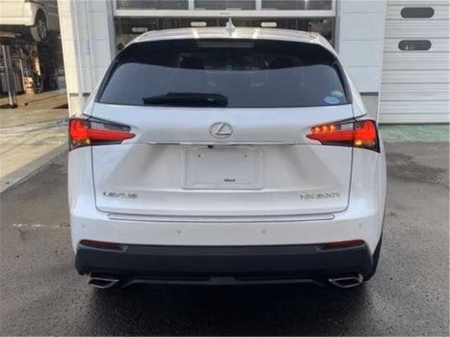 LEXUS NX300