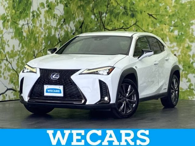 LEXUS UX250H