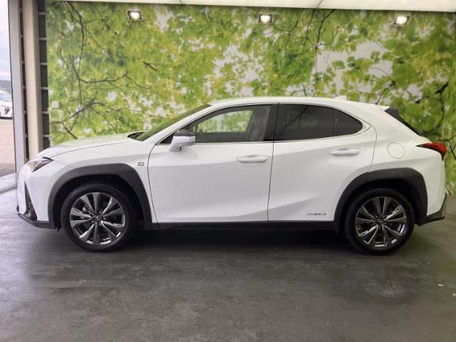 LEXUS UX250H