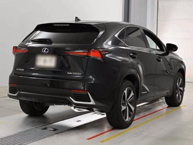 Lexus NX300h