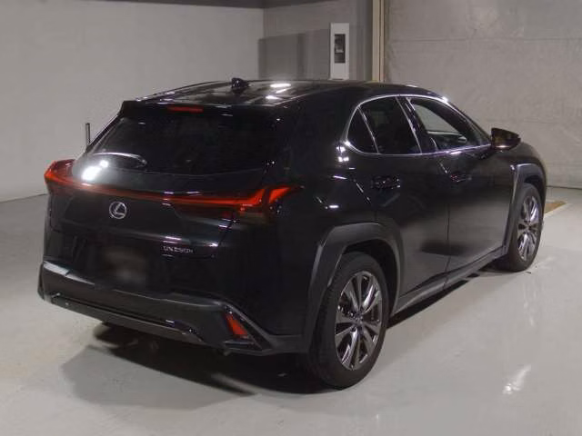 LEXUS UX250H
