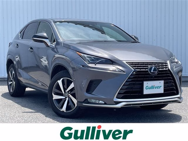 LEXUS NX300