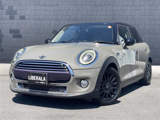 MINI HATCH