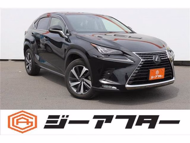 LEXUS NX300