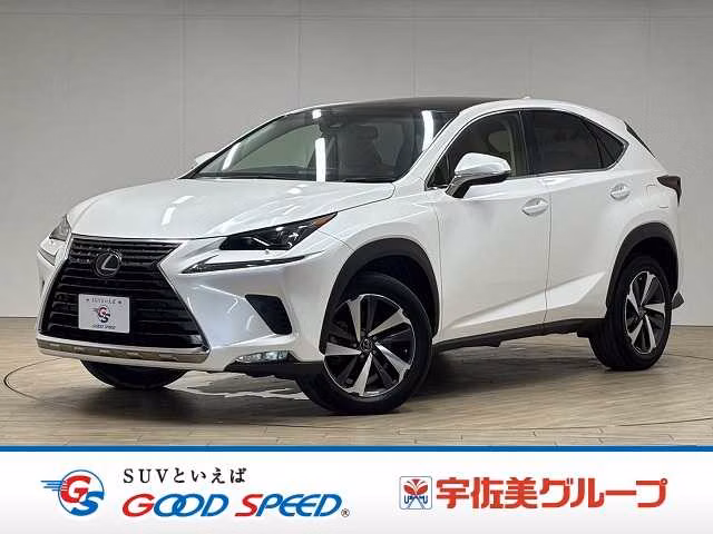 Lexus NX300