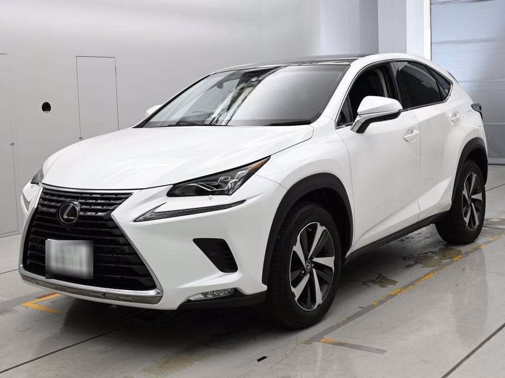 LEXUS NX300