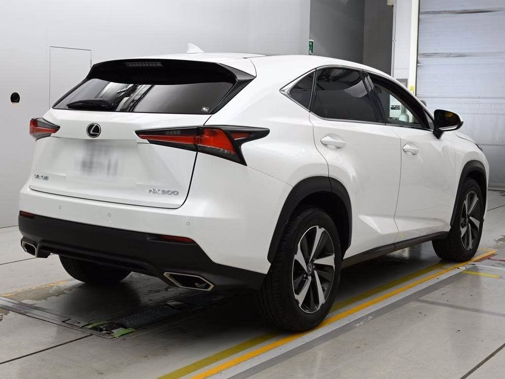 LEXUS NX300