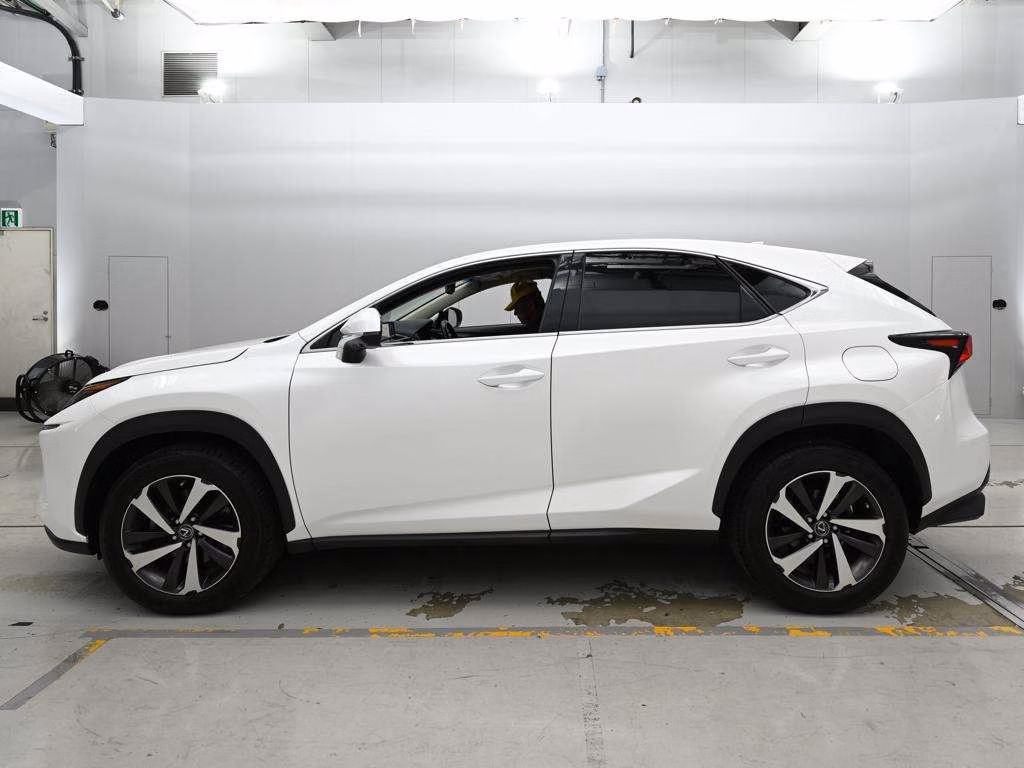 LEXUS NX300