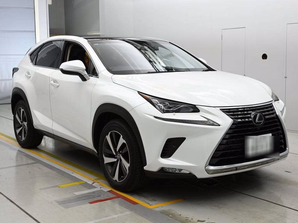 LEXUS NX300