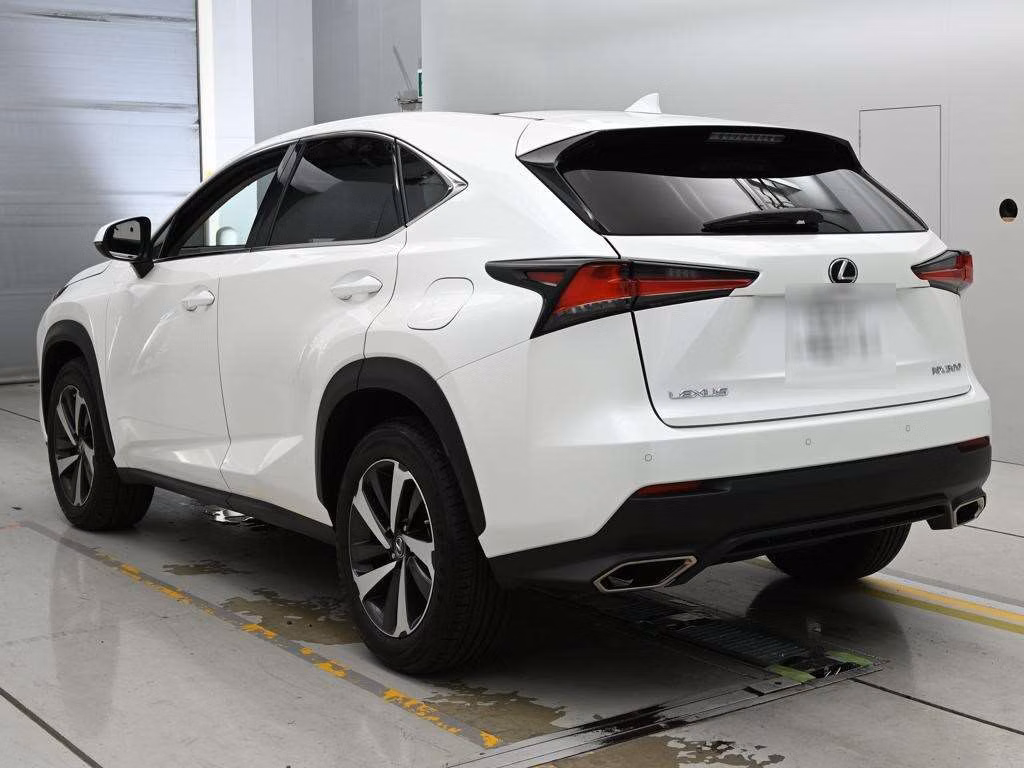 LEXUS NX300
