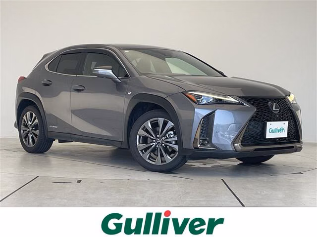 LEXUS UX250H
