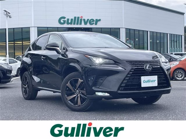 LEXUS NX300