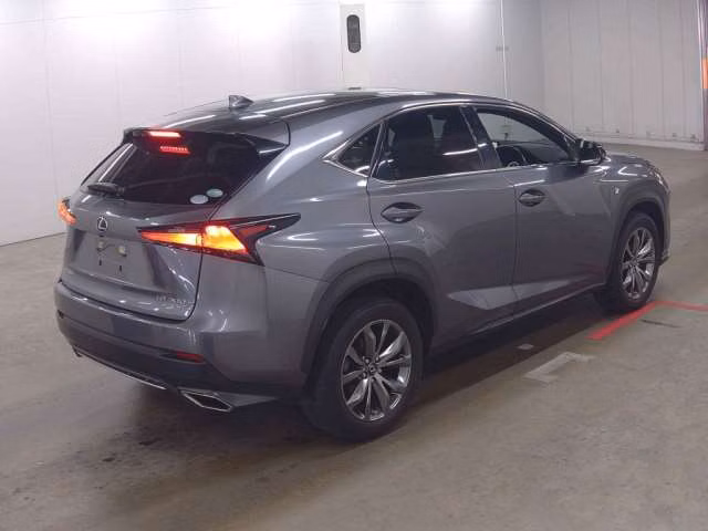 LEXUS NX300