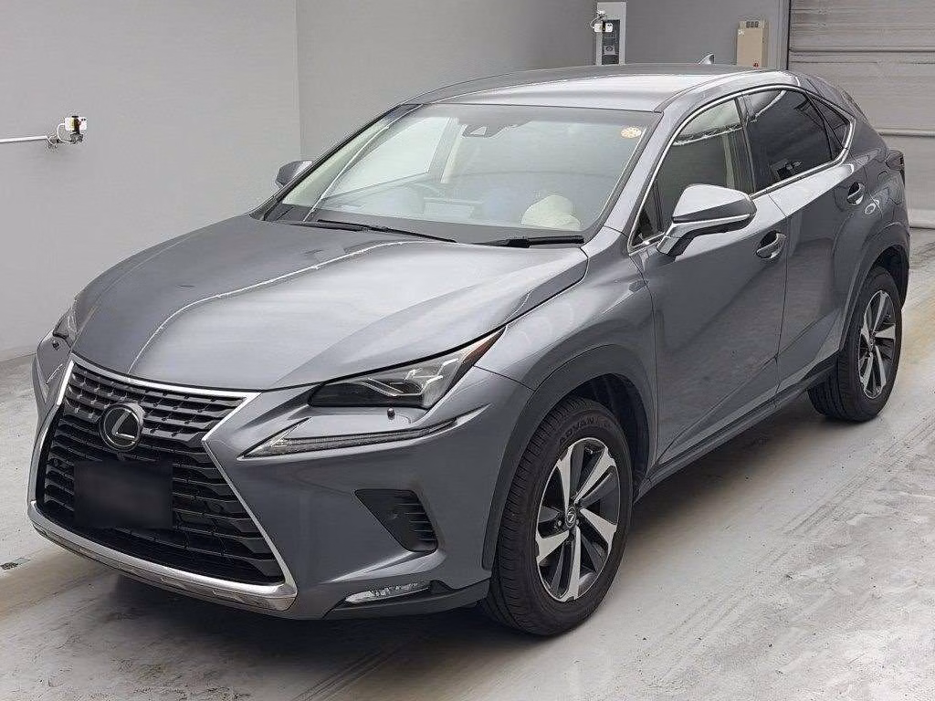LEXUS NX300
