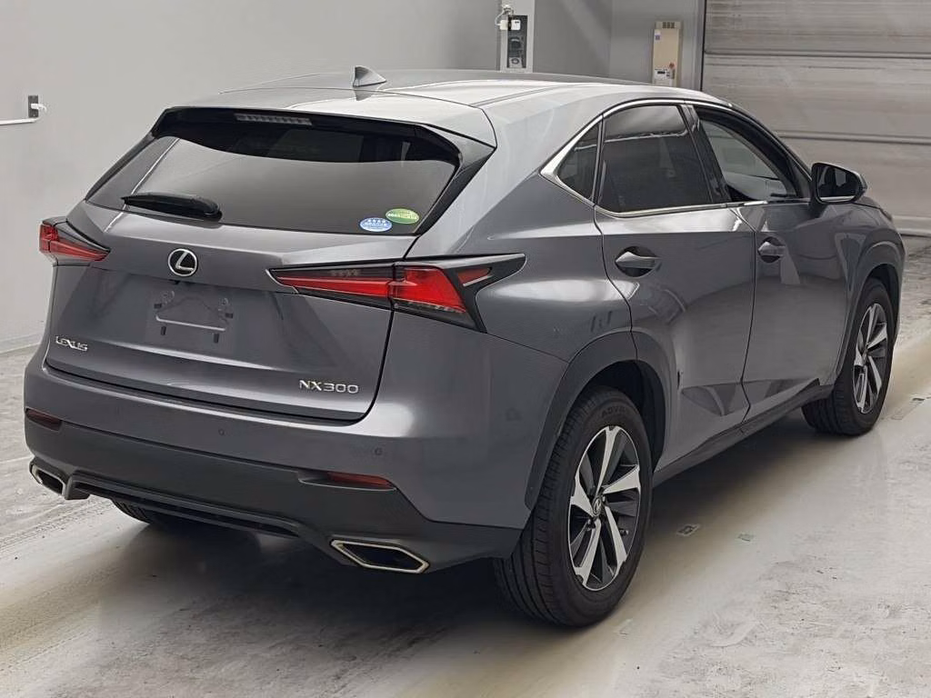 LEXUS NX300