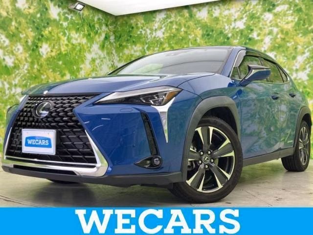LEXUS UX250H