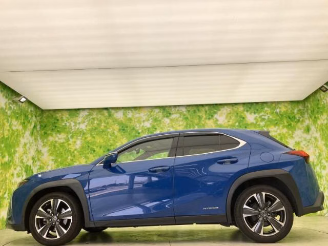 LEXUS UX250H