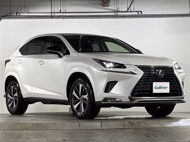 LEXUS NX300