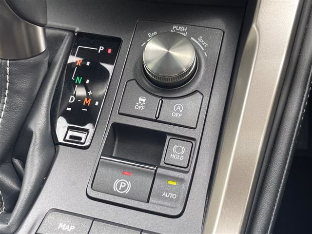 LEXUS NX300