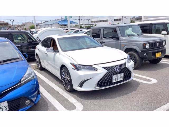 LEXUS ES300H