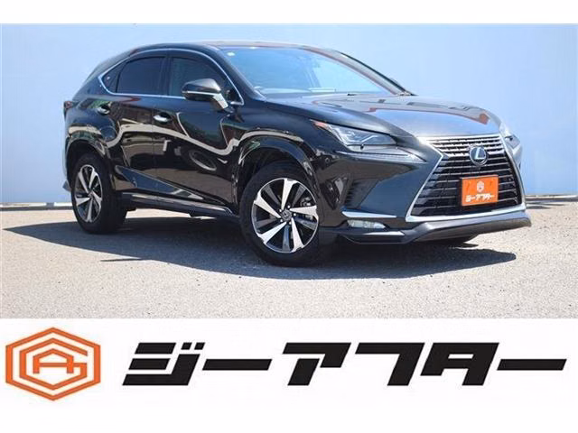 LEXUS NX300