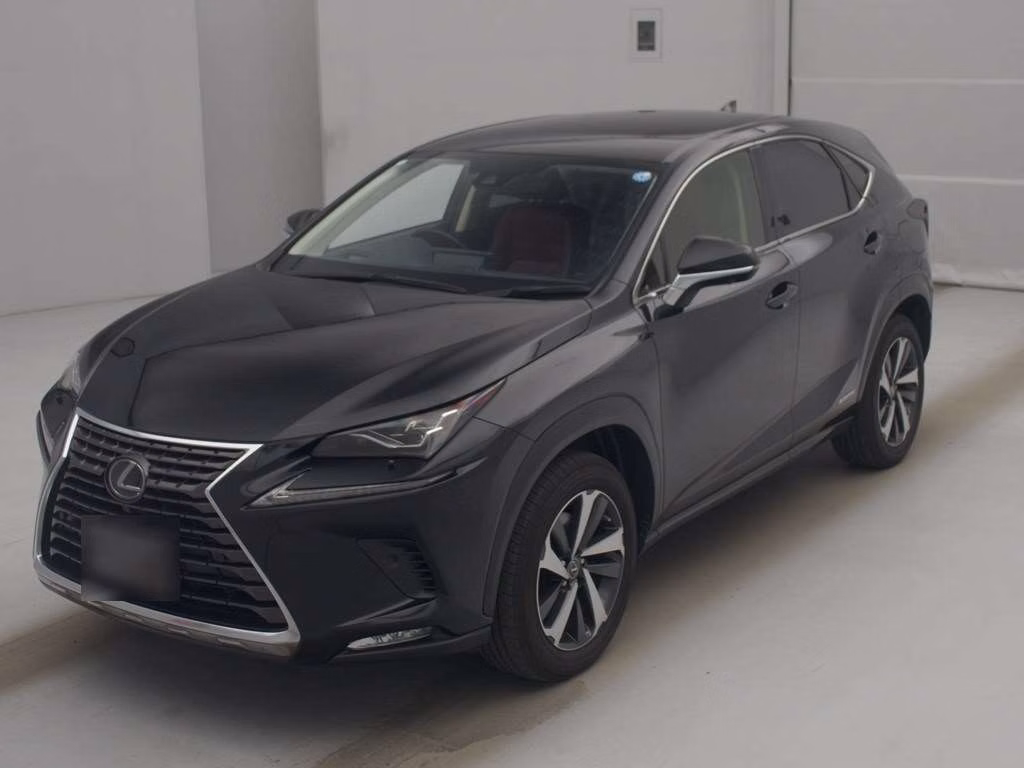 Lexus NX300h