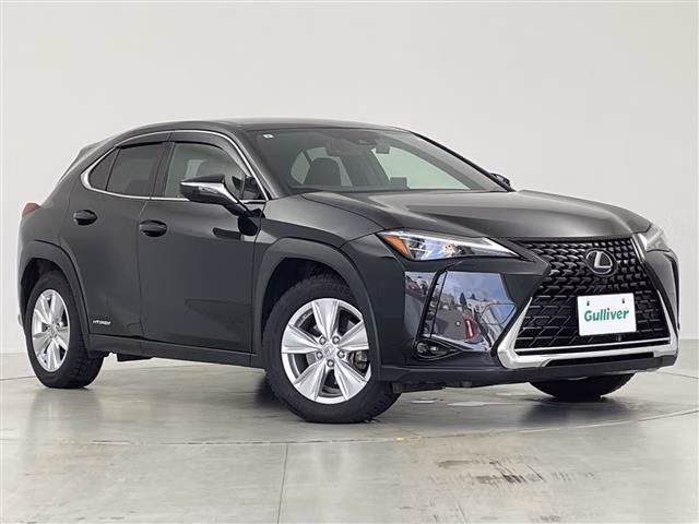 LEXUS UX250H