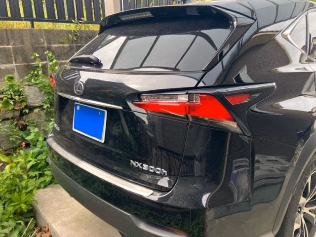 LEXUS NX300H