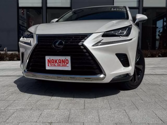 LEXUS NX300