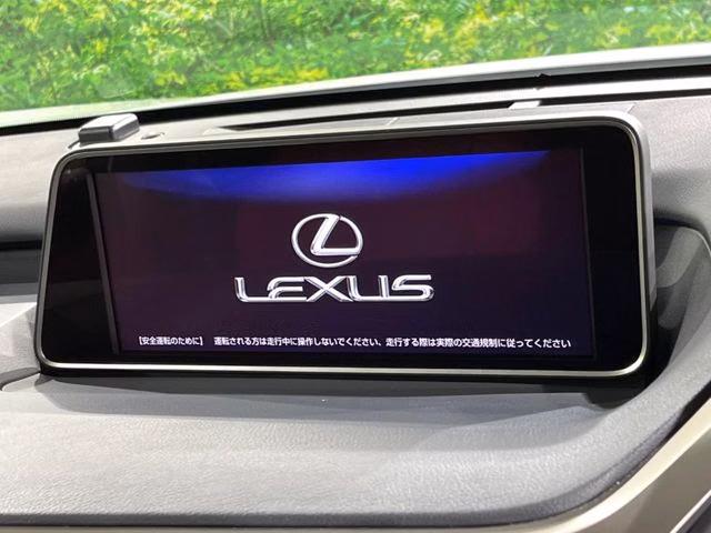 LEXUS RX200T