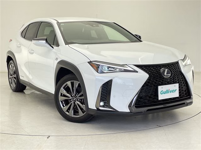 LEXUS UX250H