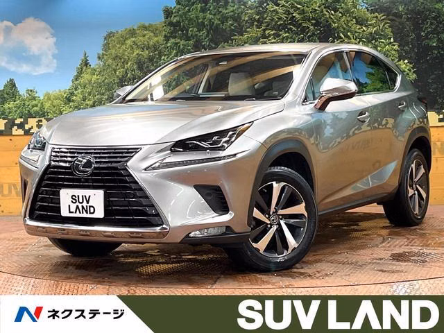 LEXUS NX300