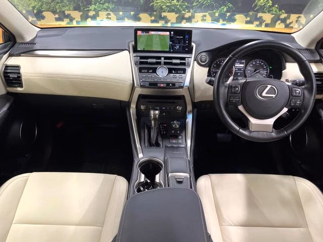 LEXUS NX300