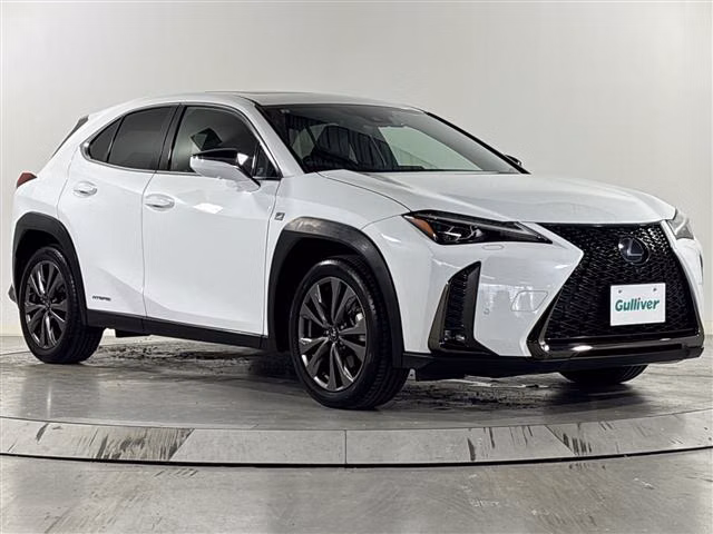 LEXUS UX250H