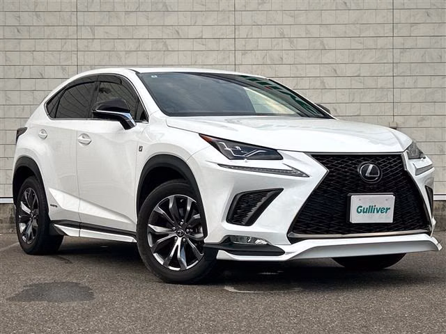 LEXUS NX300