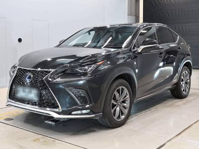 LEXUS NX300