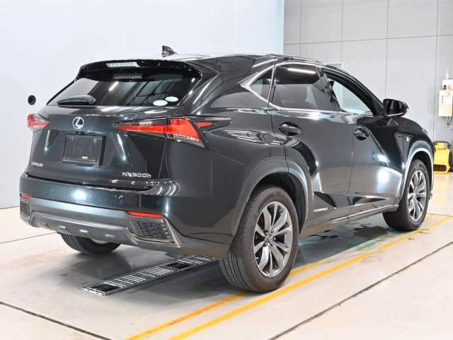 LEXUS NX300