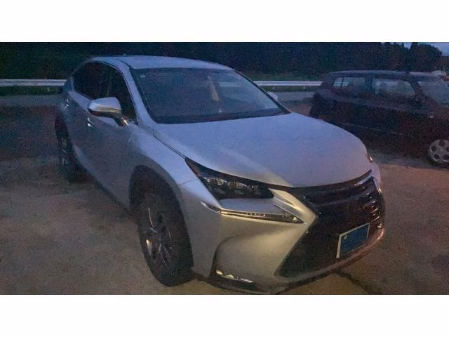 LEXUS NX300H