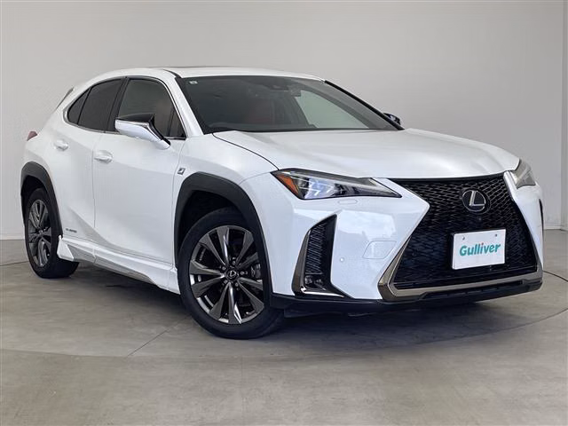 LEXUS UX250H