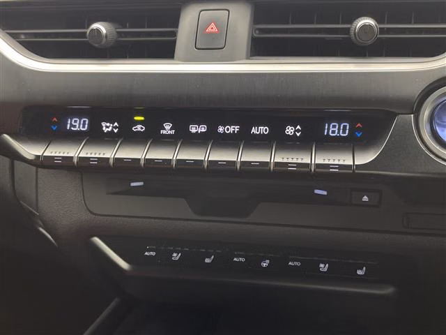 LEXUS UX250H
