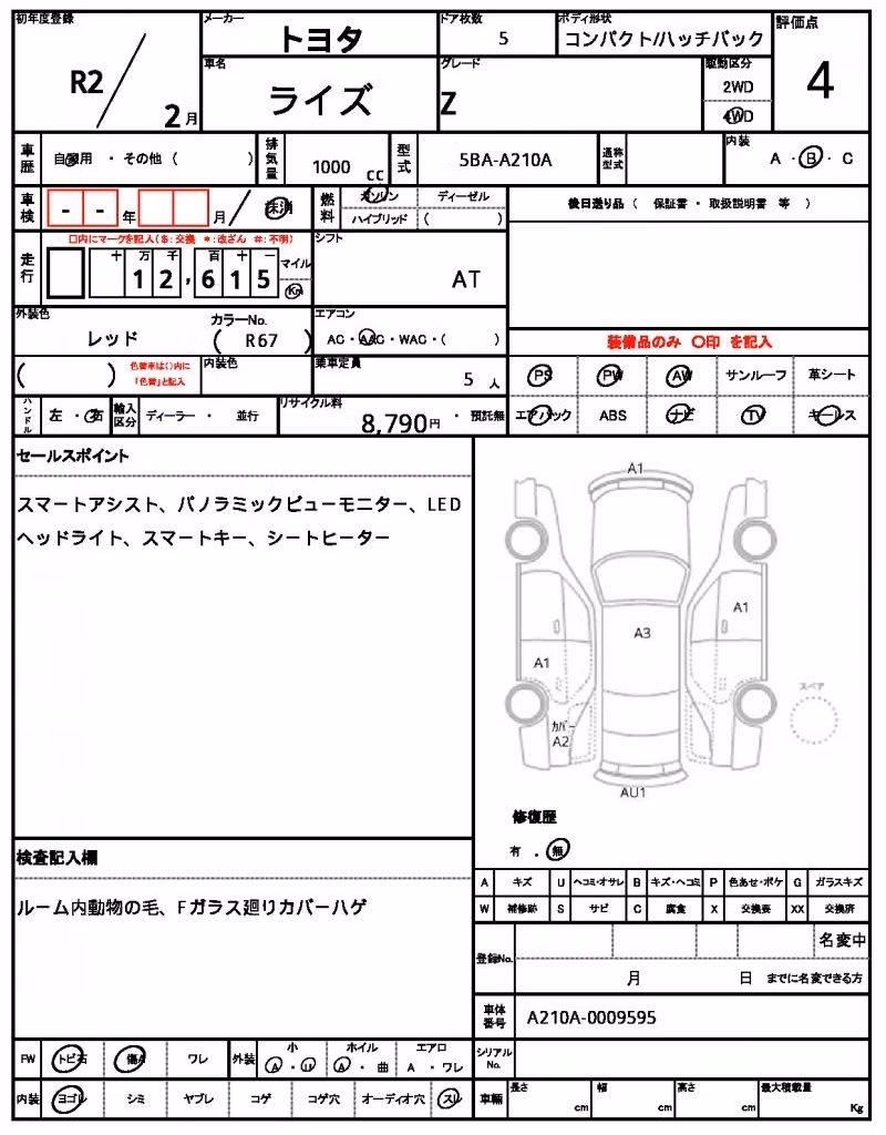 TOYOTA RAIZE