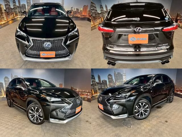 Lexus NX300h