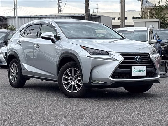 LEXUS NX300