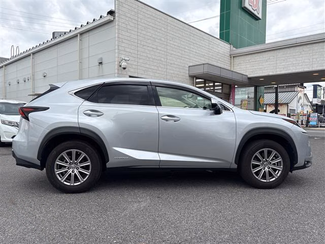 LEXUS NX300