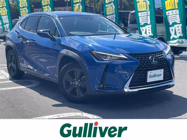 LEXUS UX250H