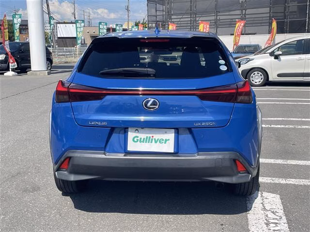 LEXUS UX250H