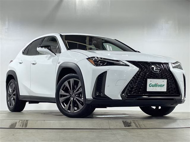 LEXUS UX250H